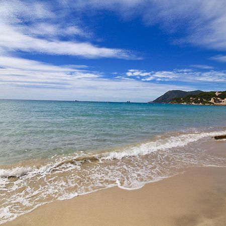 Apartament Les Pieds Dans L'Eau La Seyne-sur-Mer Zewnętrze zdjęcie