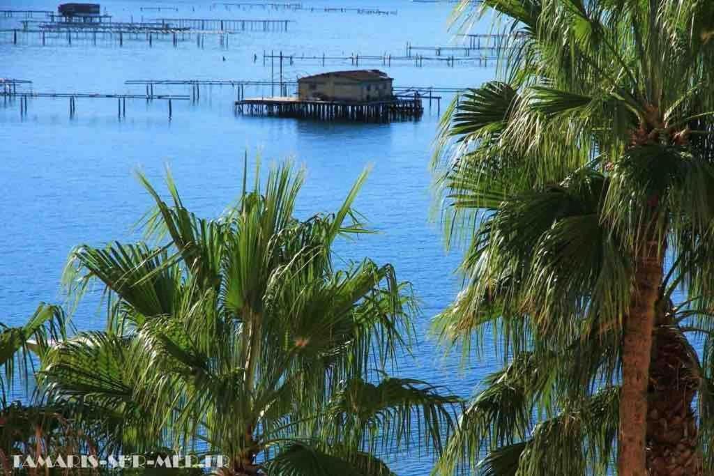 Apartament Les Pieds Dans L'Eau La Seyne-sur-Mer Zewnętrze zdjęcie